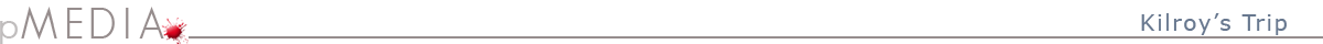 pMedia Logo