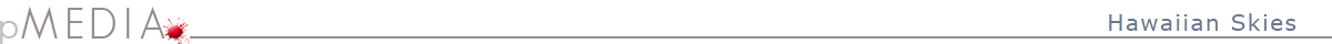 pMedia Logo